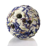 Gingerbread Land Gift Pack