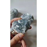 Celestite raw cluster crystal by Moonlight Gemstones, pale blue mineral cluster held in hand