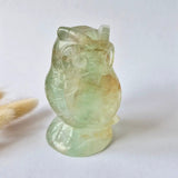 Fluorite owl gemstone carving by Moonlight Gemstones, pale green translucent figurine, 525g.