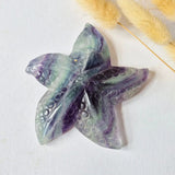 Regenboog Fluoriet Zeester Carving, 10 cm rainbow fluorite starfish sculpture.