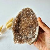 Champagne amethyst druzy geode, free-form natural crystal cluster, 649 g, held in hand
