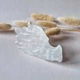 Dragon skull carving in clear quartz, 7 cm, Moonlight Gemstones