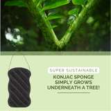 green-goose Houtskool Konjacsponsjes | 2 Stuks by green-goose
