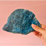 Moonlight Gemstones blue apatite disc crystal, XXL 331g held in hand