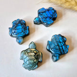 Labradorite turtle carvings, 3 cm each, iridescent blue; set of four.