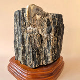 XXL zwarte toermalijn ruwe op luxe houten displaystand met Moonlight Gemstones
