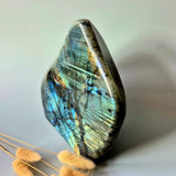 XXL labradorite freeform gemstone with blue-green iridescent flash, 2322g