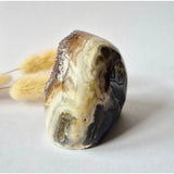 Druzy Agaat uit Uruguay, 260 g – Moonlight Gemstones natuurlijke geode edelsteen