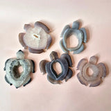 Grote grijze agaat schildpadden edelsteencarvings met druzy, 8–12 cm, set van 5 handgesneden stukken