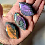 Labradorite leaf cabochons by Moonlight Gemstones, 3 iridescent leaves with purple, blue and orange flash.