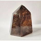Rookkwarts toren met diepe insluitingen; gepolijst kristalpunt, bruin-grijze tinten