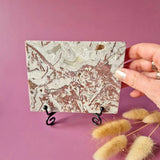 Crazy Lace Agate slab on stand, druzy gemstone, 318 g, Moonlight Gemstones