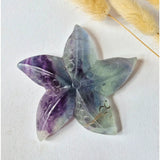 Regenboog Fluoriet Zeester Carving by Moonlight Gemstones, rainbow fluorite starfish about 10 cm