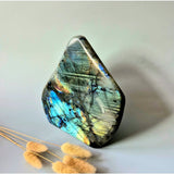 XXL Labradoriet Freeform van Moonlight Gemstones, 2322 g, intense flash en spirituele bescherming
