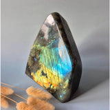 XXL Labradoriet freeform van Moonlight Gemstones, 1800 g, intens blauw-groene iriserende glans