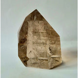 Lemurian smoky quartz crystal point with golden rutile inclusions, 401 g, Brazil