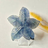 Regenboog fluoriet zeester carving, ca. 10 cm, blauw fluoriet, Moonlight Gemstones