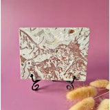 Crazy Lace Agate-slab op standaard; wit-grijze banden met roestbruine nerven