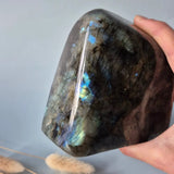 XXL Labradoriet freeform steen van Moonlight Gemstones, donker met iriserende blauwe vlammen, 1469g