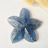 Moonlight Gemstones Regenboog Fluoriet Zeester Carving, blue rainbow fluorite starfish, about 10 cm