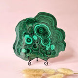 Gepolijste malachiet schijf XXL, groene concentrische ringen, op metalen standaard; Moonlight Gemstones