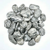 Edelsteen Picture Jasper chips, 2–4 cm, gray and white banded tumble stones, 100 g