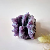 Edelsteen Paarse Mica Drakenschedel, Moonlight Gemstones, mystiek intuïtie en krachtige bescherming