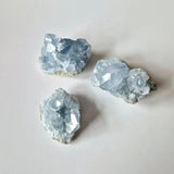Celestite raw cluster stones from Moonlight Gemstones; three pale blue crystal clusters.