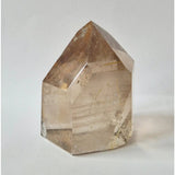 Lemurian Smoky Quartz with Golden Rutile punt crystal, Brazil, 401g