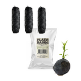 green-goose Bio-based Flosdraad | Met 3 Navullingen | Charcoal Mint