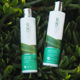 Bodygel & bodylotion pakket.
