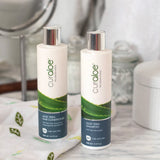 Conditioner