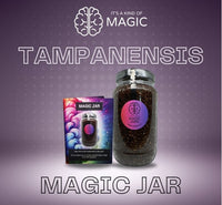 It’s a Kind of Magic – Magic Jar