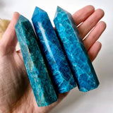 Set of four blue apatite crystal obelisk towers, 8–10 cm tall and 1.5–2 cm thick, held in hand