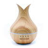 Palermo Aroma Verstuiver USB Ultrasone Geurdiffuser met Timer en LED Kleuren