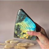 Labradoriet freeform steen, 1800 g, met blauwgroene iriserende schittering