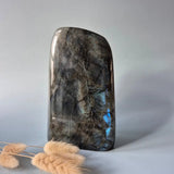 Moonlight Gemstones XXL Labradorite freeform stone, polished gray-blue with intense blue flash, 2082 g