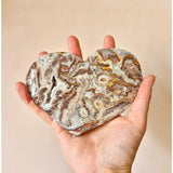 Mexican Crazy Lace Agate hart edelsteen, multicolor banding, ongeveer 300 g, Moonlight Gemstones