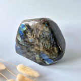 Labradoriet freeform steen, XXL (1285g), Moonlight Gemstones, intense blauwe flash