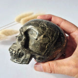 Pyriet Skull - hand-carved crystal skull in dark pyrite with gold veining, Moonlight Gemstones
