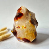 XL Carnelian Flame polished gemstone by Moonlight Gemstones with fiery orange-red bands and creamy interior
