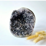 XL raw amethyst cathedral cluster, Moonlight Gemstones, purple crystal geode 1469 g