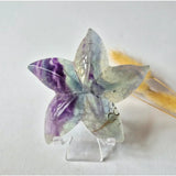 Regenboog Fluoriet Zeester Carving, rainbow fluorite starfish sculpture ~10 cm by Moonlight Gemstones