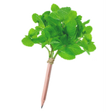 green-goose Seedz Bloeipotlood munt plantable pencil with mint leaves