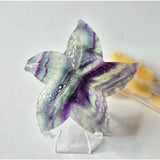 Moonlight Gemstones rainbow fluorite starfish carving, about 10 cm, with purple, green and blue hues.