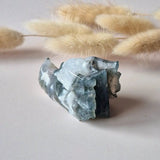 Edelsteen Drakenschedel van Mosagaat, 5 cm, blauw-groen, Moonlight Gemstones