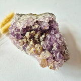 Amethyst cluster on rock matrix; natural purple quartz crystals