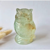 Fluorite owl carving by Moonlight Gemstones, pale green with natural inclusions, 525 g