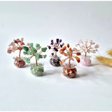 Moonlight Gemstones Mini Edelsteen Money Tree (5 cm) with five multicolor crystal chip trees in glass jars