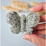 Edelsteen 3D vlinder 6x5 cm van Sesame Jasper, grijs met zwarte vlekken